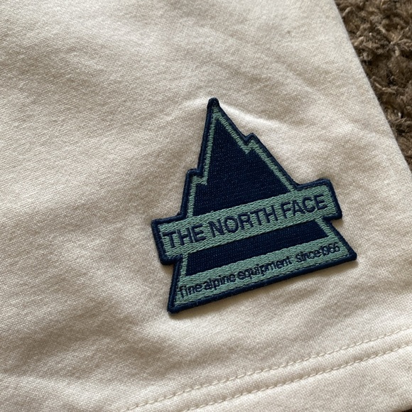 Mens The North Face Shorts - Picture 2 of 7